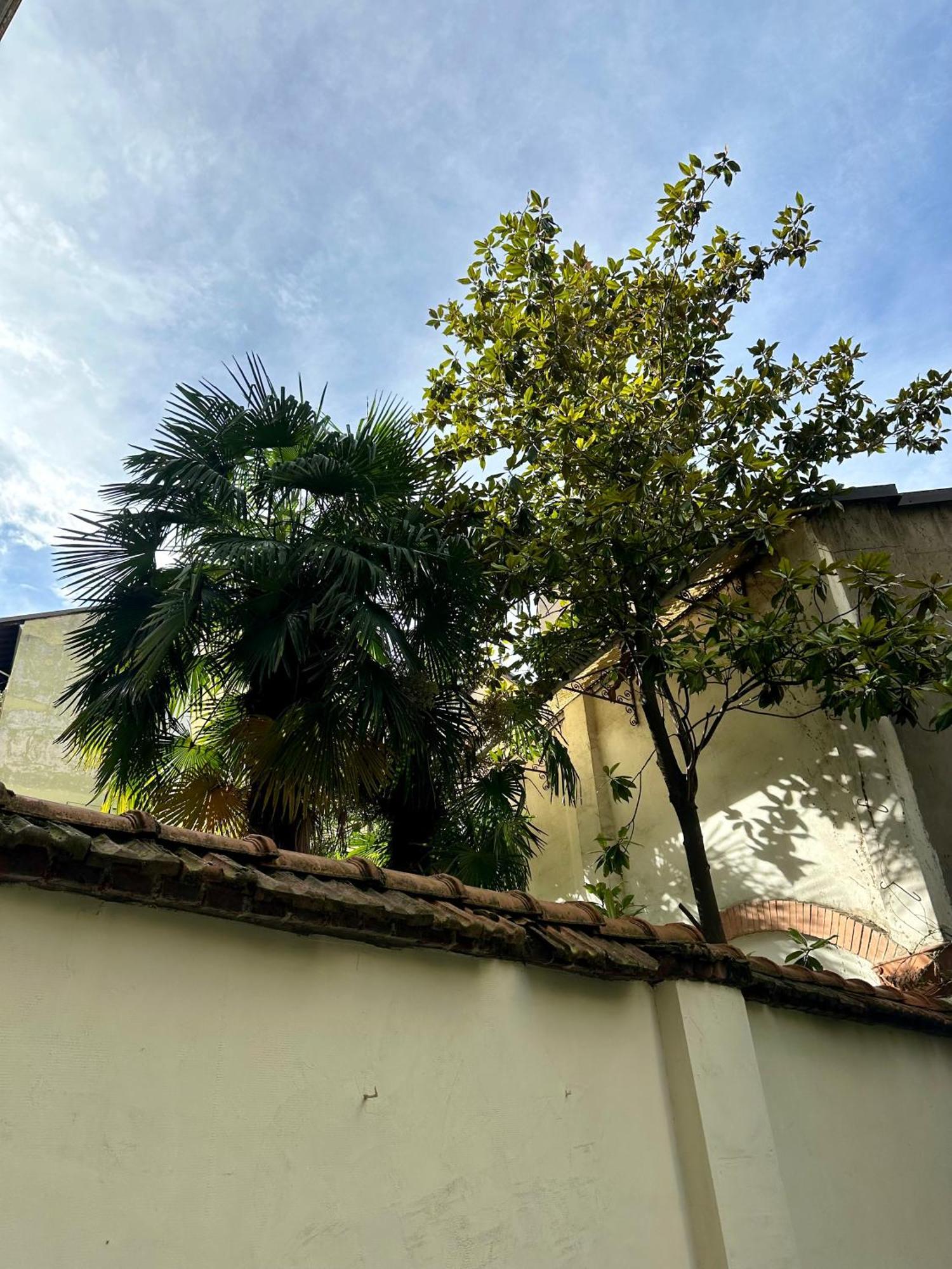 Lr Deluxe Apartments - Porta Venezia - Bilocale Con Giardino Privato Milan Exterior photo